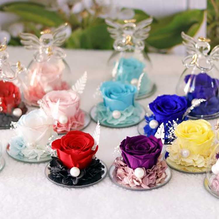 Engelhafte ewige Rose