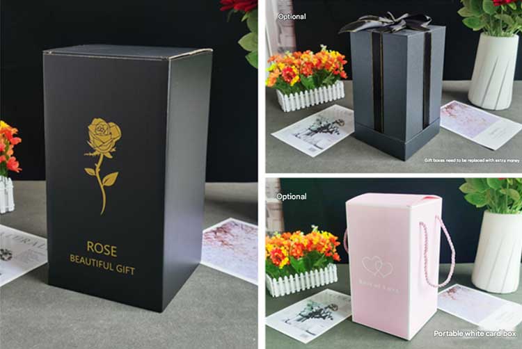 rose glass dome packaging