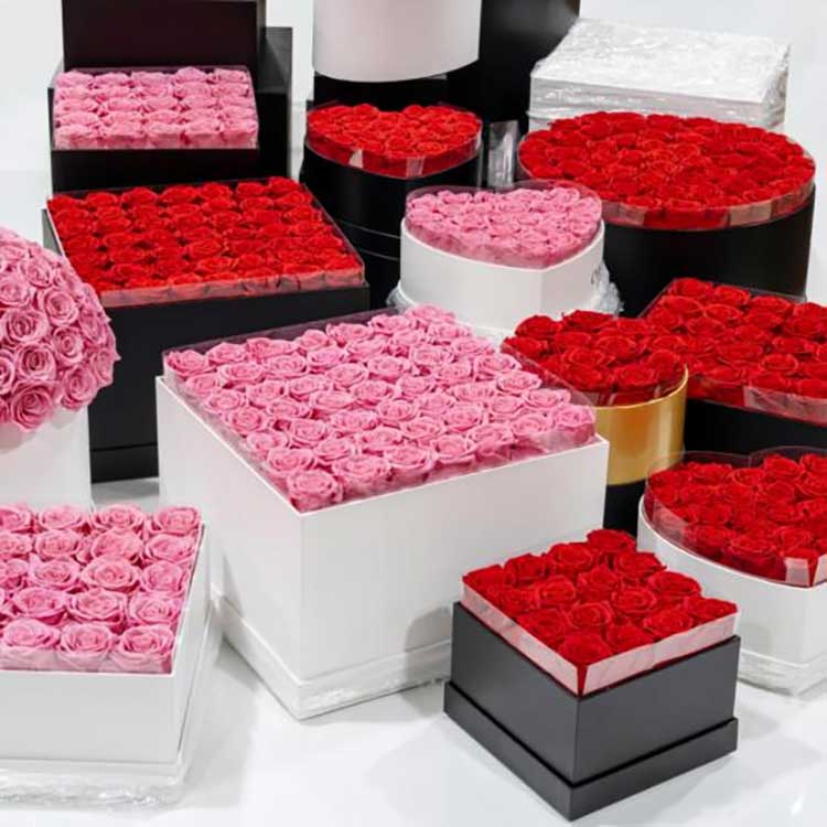 Konservierter Blumen-Umarmungseimer